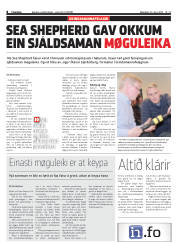 Síða 8