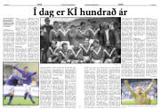 Síða 12