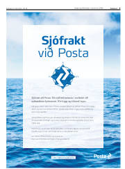Síða 5