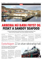 Síða 6