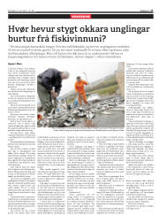 Síða 17