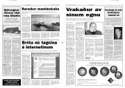 Síða 3