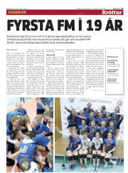 Síða 31