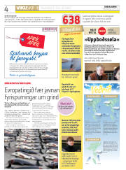 Síða 4