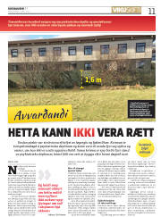 Síða 11