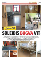 Síða 17