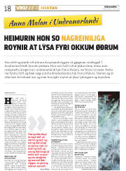 Síða 18