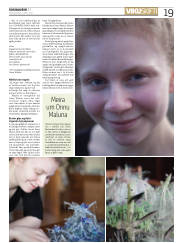 Síða 19