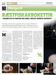 Síða 22