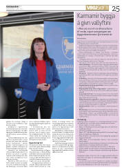 Síða 25