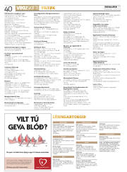 Síða 40
