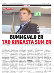 Síða 8