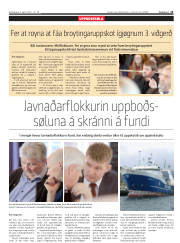Síða 13
