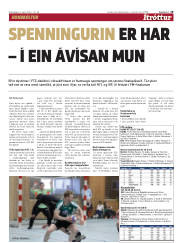 Síða 19