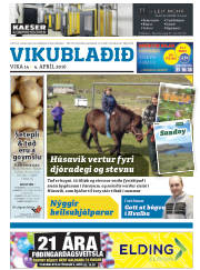 Síða 33