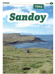 Síða 39