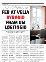 Síða 8