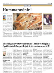 Síða 19