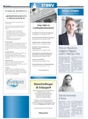 Síða 24