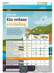 Síða 3