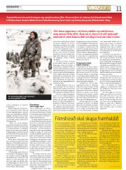 Síða 11