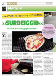 Síða 22