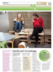Síða 23