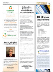 Síða 39