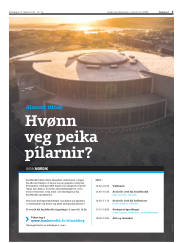 Síða 3