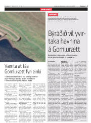 Síða 5
