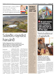 Síða 11