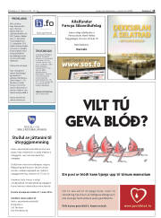 Síða 15