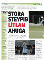 Síða 20