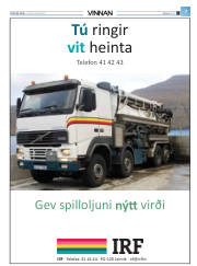 Síða 31