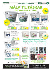 Síða 61