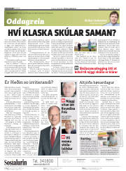 Síða 2