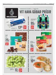 Síða 3