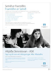 Síða 29