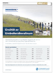 Síða 3