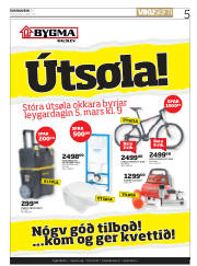 Síða 5