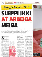 Síða 12