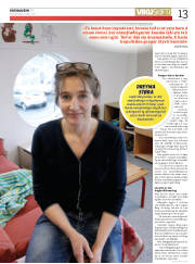 Síða 13
