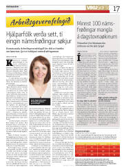 Síða 17