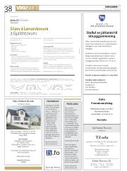 Síða 38