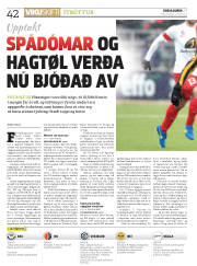 Síða 42
