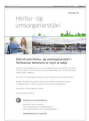 Síða 7