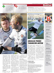 Síða 25
