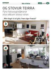 Síða 47