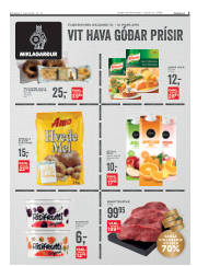 Síða 3