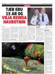 Síða 6